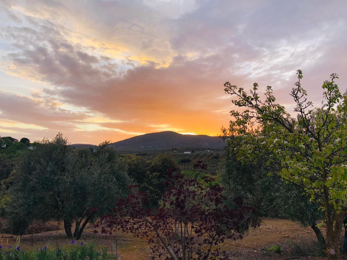 Holiday home Tradicional Andaluza Con Piscina Privada *