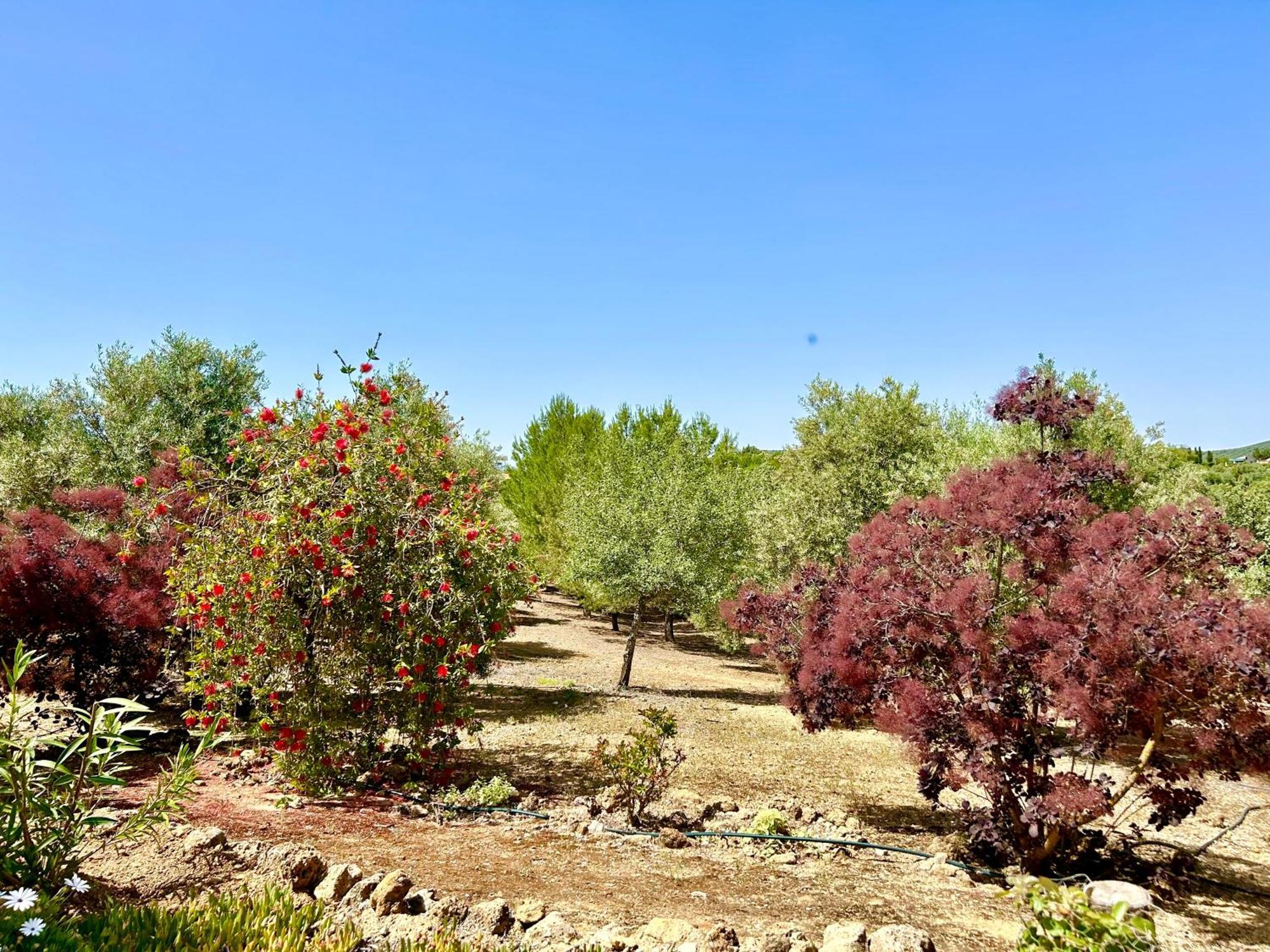 Vakantiehuis Tradicional Andaluza Con Piscina Privada Villanueva de Tapia