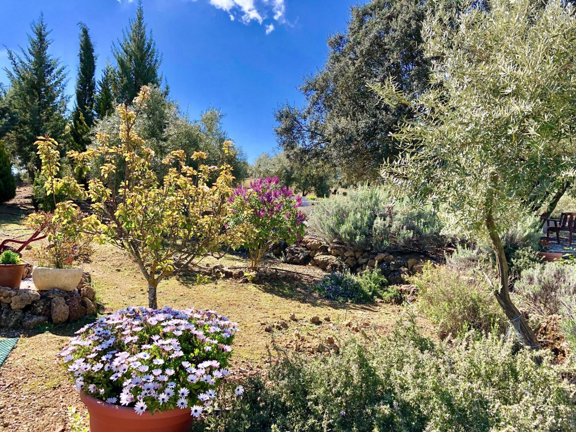 Tradicional Andaluza Con Piscina Privada Holiday home