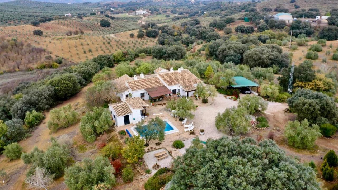 La Mejorana Refugio Andaluz Con Piscina Entre Olivos